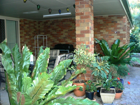 Birkdale - Under Contract! Picture Birkdale - Under Contract! Picture