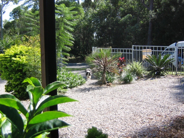 Built with a large family in mind Picture 3