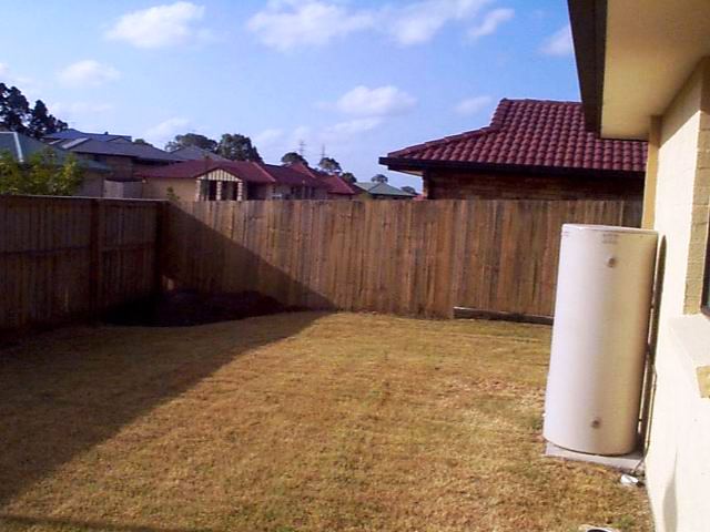 A little Gem Picture A little Gem Picture