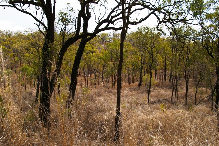 POTENTIAL TO QUARRY Picture 2