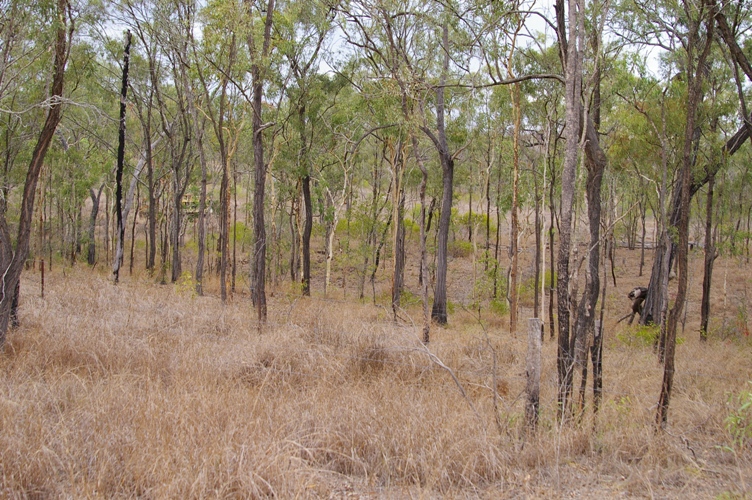 POTENTIAL TO QUARRY Picture 1