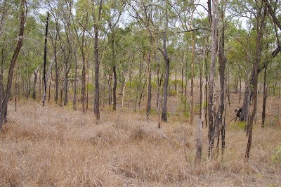 POTENTIAL TO QUARRY Picture