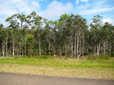 Vacant Land - Build Your Dream Home Today! Picture Vacant Land - Build Your Dream Home Today! Picture