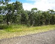 Vacant Land - Build Your Dream Home Today! Picture
