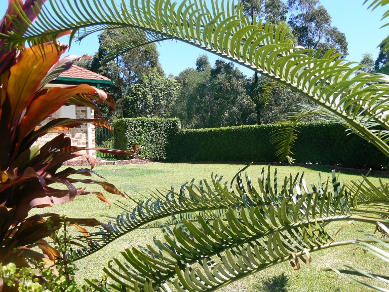 This Won't Last at This Price - Owners Want It Sold Today! Picture 3