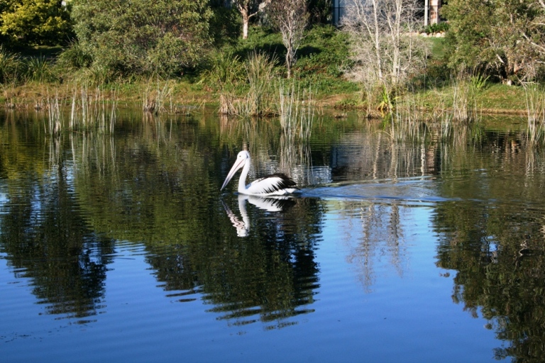Sensational From Every Angle Now Offers Over $675,000 Picture 2