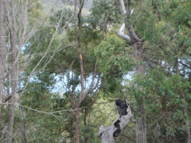 Russell Island - Great Views Picture 2