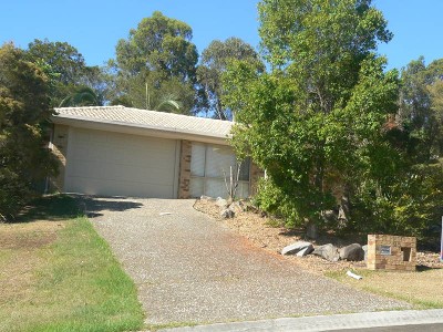 High on the Hill Picture