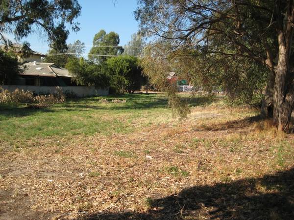 Land Of Opportunity Picture 1