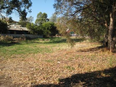 Land Of Opportunity Picture Land Of Opportunity Picture