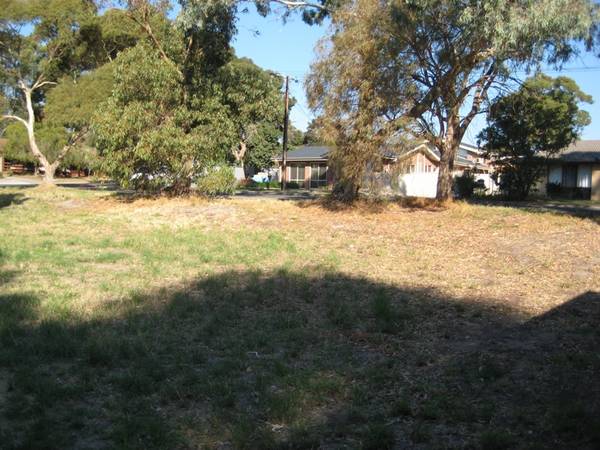 Land Of Opportunity Picture 3