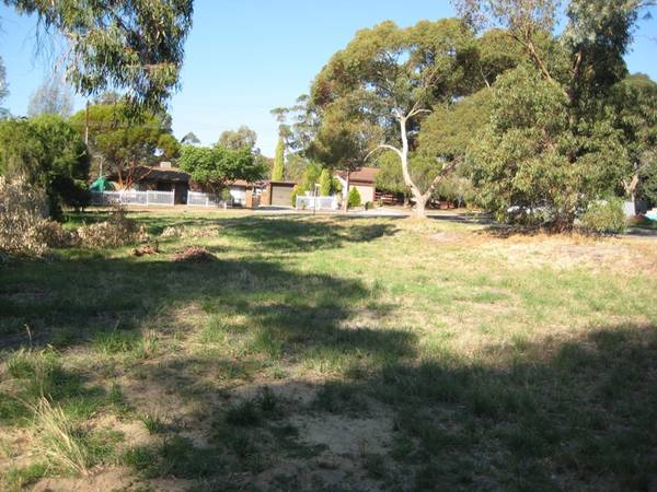 Land Of Opportunity Picture 2