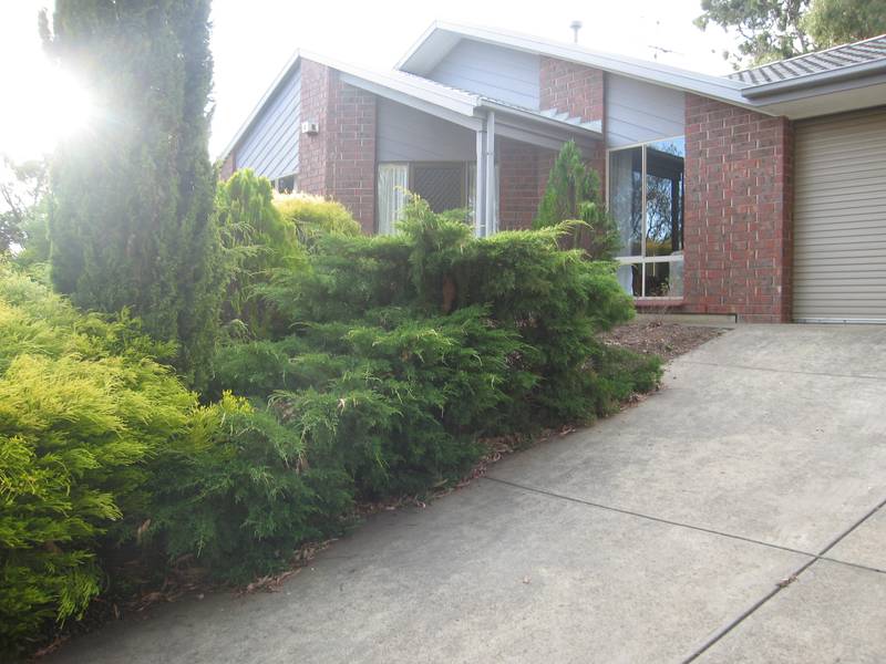 EXECUTIVE FAMILY HOME Picture 2