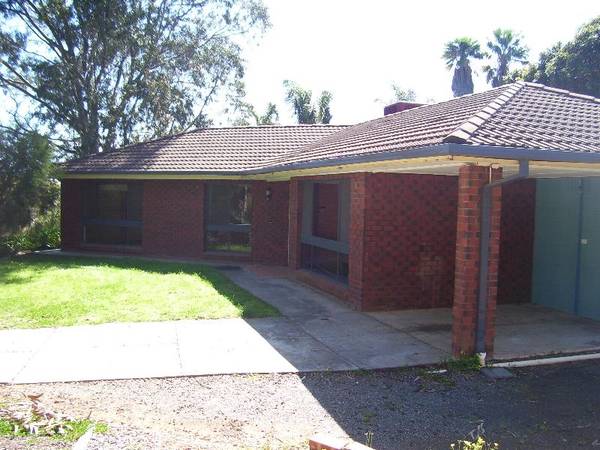 Family Home Opposite Pine Forest Picture 1