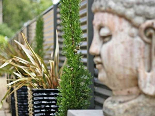 Style Peace Sophistication Picture 2