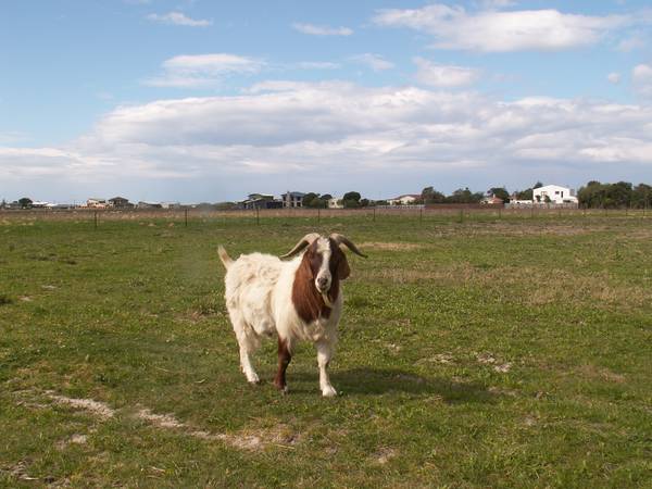 10 Acres in popular beach location!! Picture 1