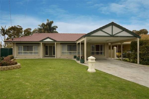 Fabulous Family Entertainer! Picture 1