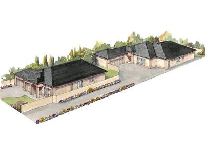 Lots of Choices Here! Picture