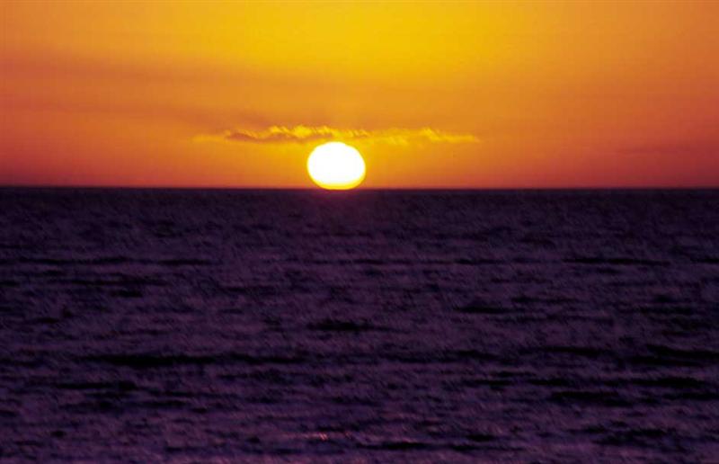 Change your Lifestyle - Warradale Palms Picture 3