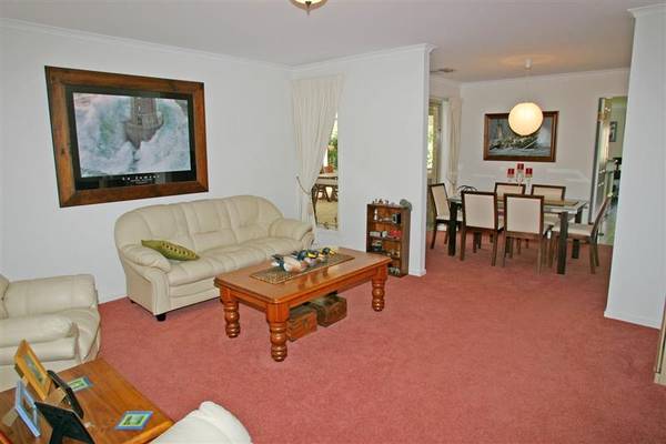 Wishes Do Come True! Picture