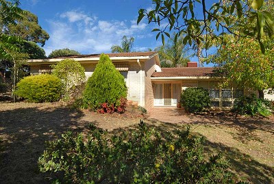 Vacation at Home In Your Own Backyard Picture