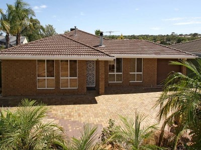 PRICE REDUCED ~ Vendor says 