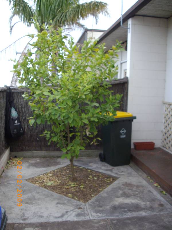 Great location! Picture