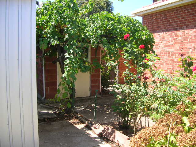 Character 3 br Home Picture