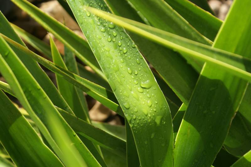 HALFWAY BETWEEN THE CITY AND THE BAY Picture