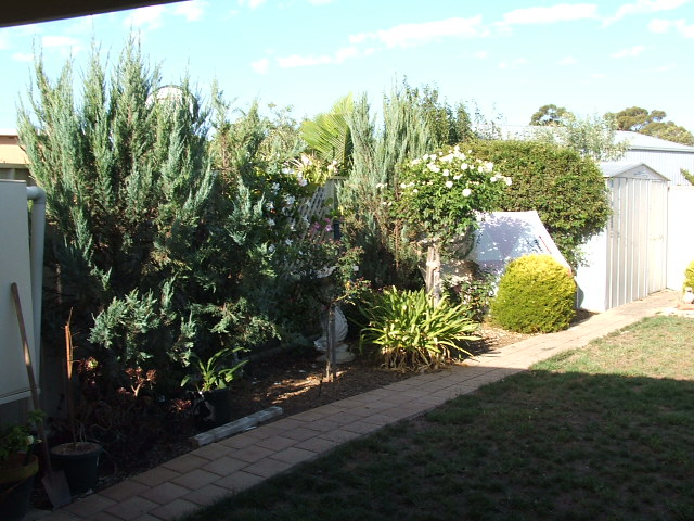 Courtyard home Picture 2