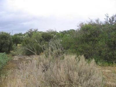 Prime Location Picture