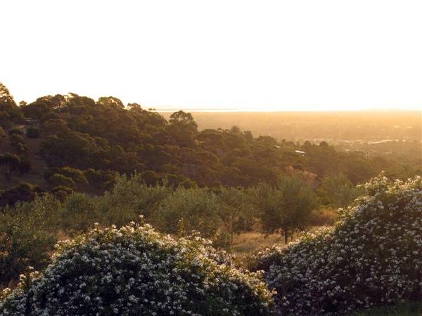 SOLD...By Craig Smith Picture 3