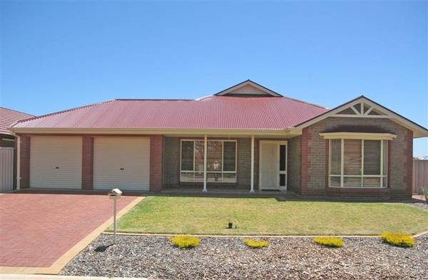 Big, Bold & Beautiful! Picture 1