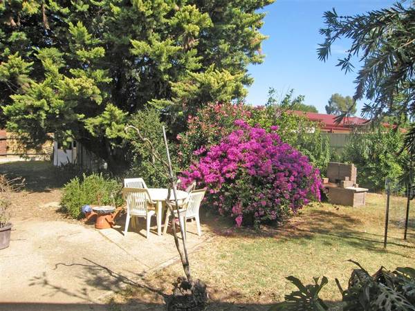 Rare Earth Indeed Picture 3