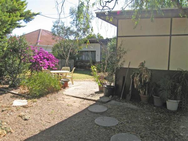 Rare Earth Indeed Picture 2