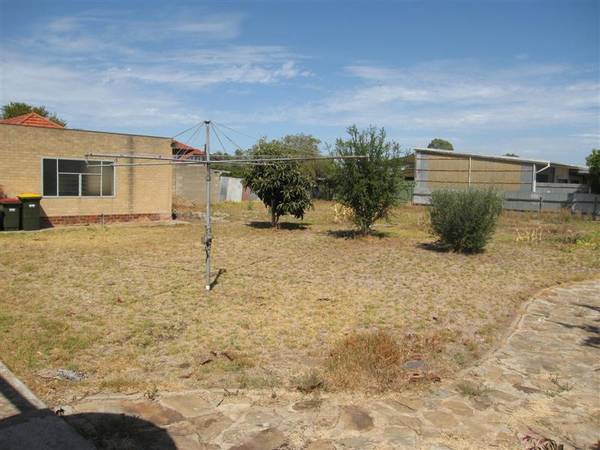 Mamma Mia.....this one is a ripper! Picture 2