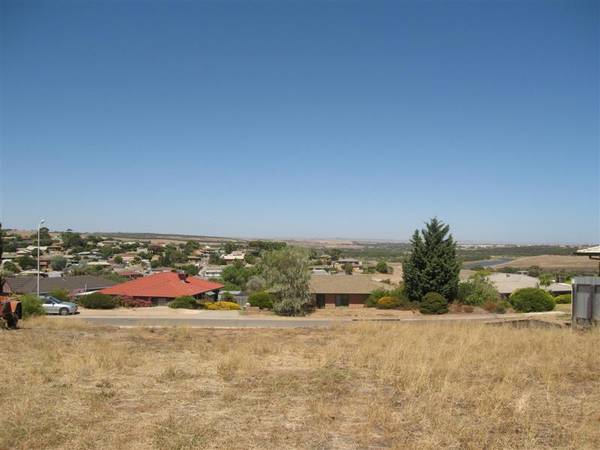 Mamma Mia......this one is a ripper! Picture 2