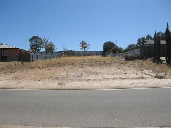 Mamma Mia......this one is a ripper! Picture 1