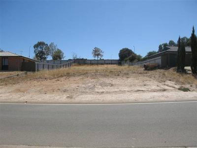 Mamma Mia......this one is a ripper! Picture