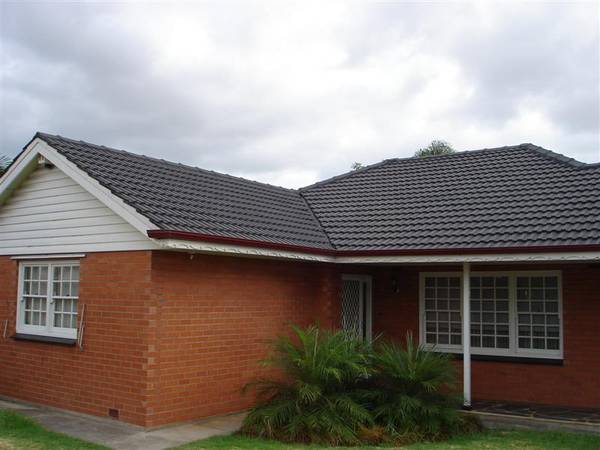 Immediate Enjoyment! Picture 1