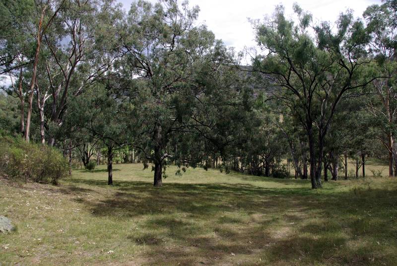 Simply Stunning Picture 3