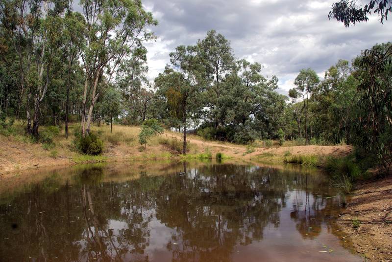 Simply Stunning Picture 2