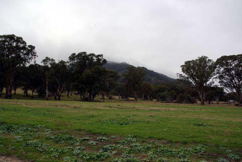 Rosedale Subdivision - Murrurundi Picture 1