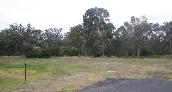 Development Oppourtunity - Murrurundi Picture 1