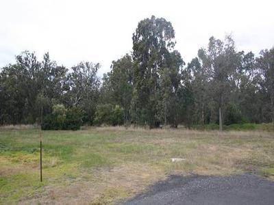 Development Oppourtunity - Murrurundi Picture