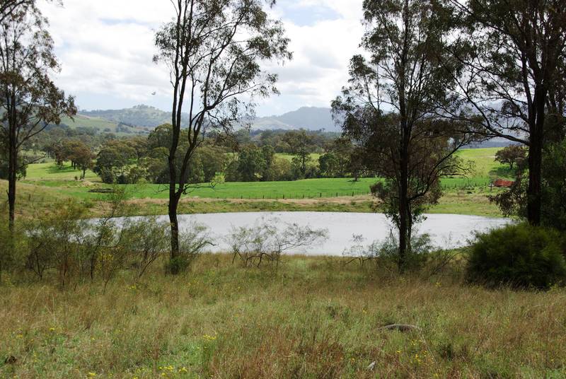 Lot 427, Thompson's Creek Road Picture 1