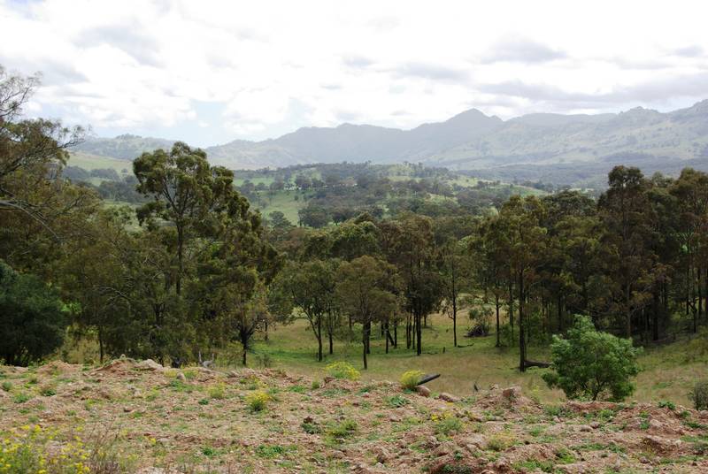 Lot 427, Thompson's Creek Road Picture 2