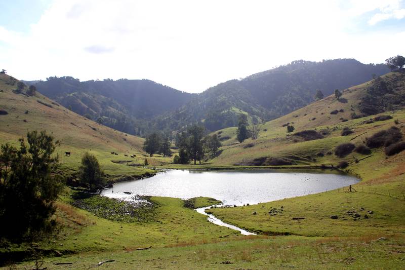 1742 Hectares (4305 acres) Picture 2