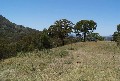 Mt Pleasant Murrurundi Picture Mt Pleasant Murrurundi Picture