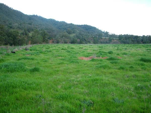 On a Bend of the Pages River Picture